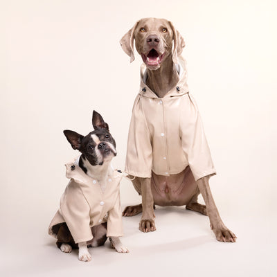 Imperméable pour chien crème