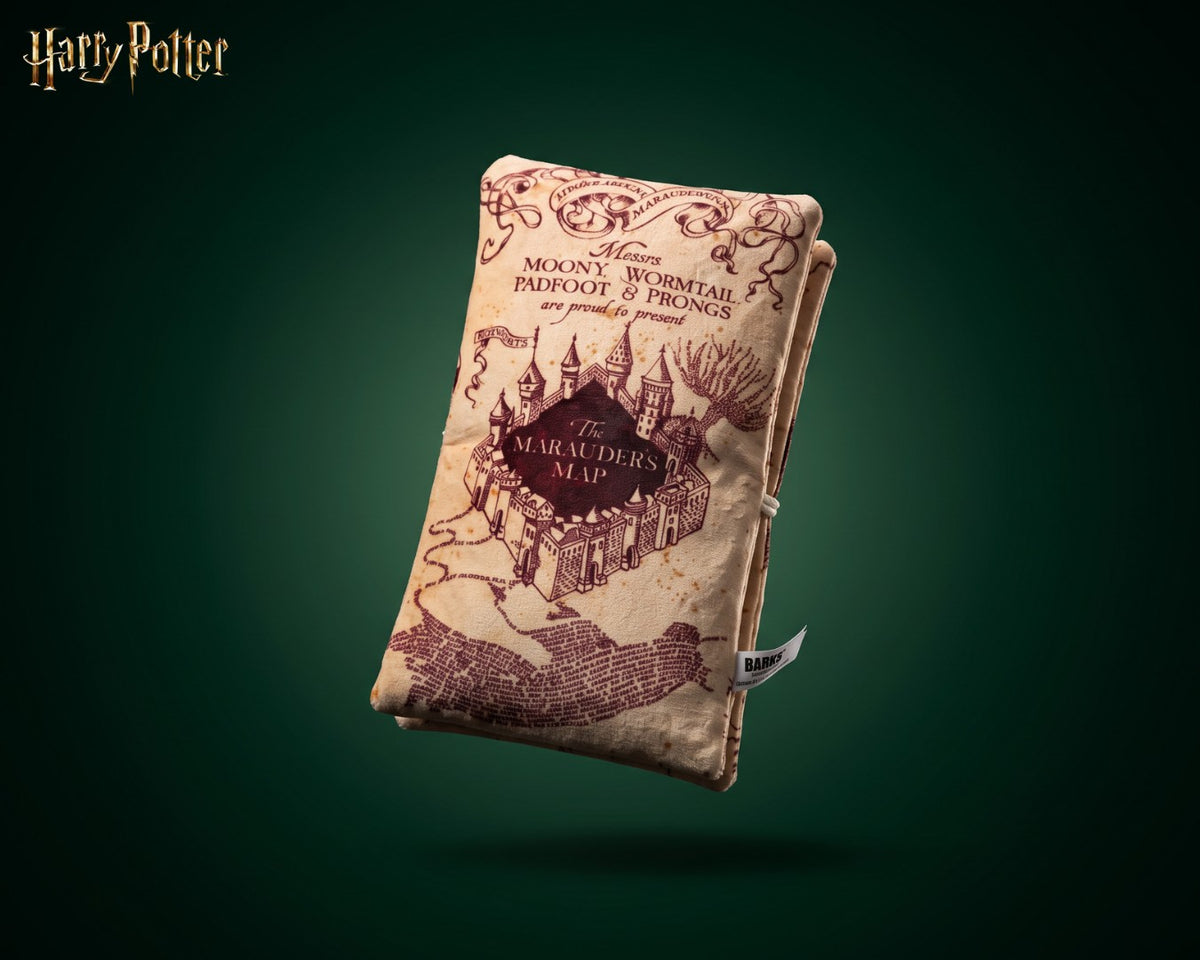 Jouet pour chien Carte du Maraudeur Harry Potter x BARK
