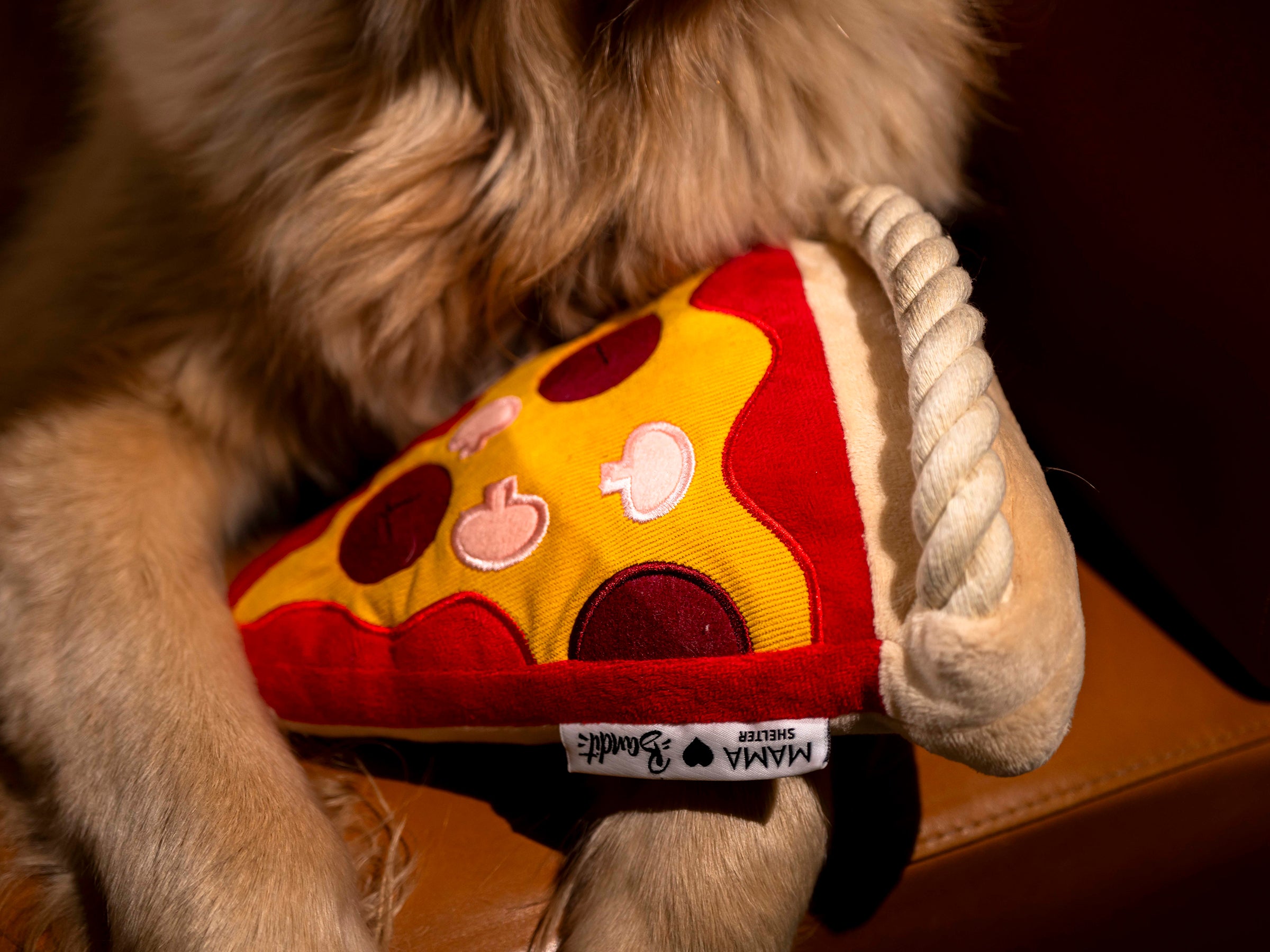 Jouet Pizza pour chien