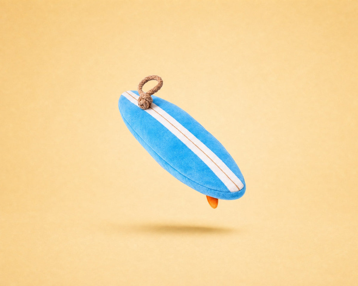 Oh la Vague !, jouet pour chien en peluche en forme de planche de surf, packshot French Bandit
