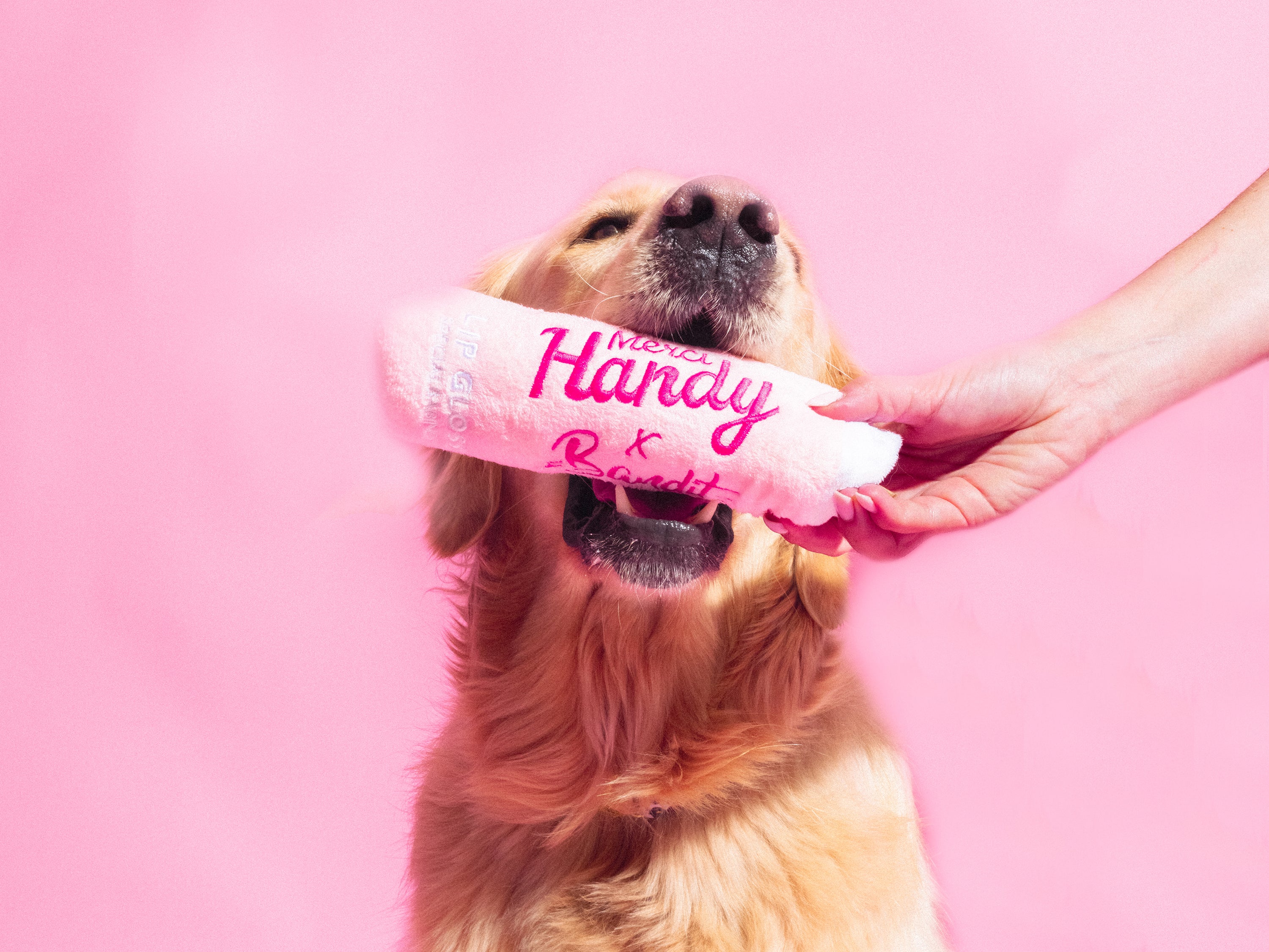 Jouet lip gloss Bandit x Merci Handy