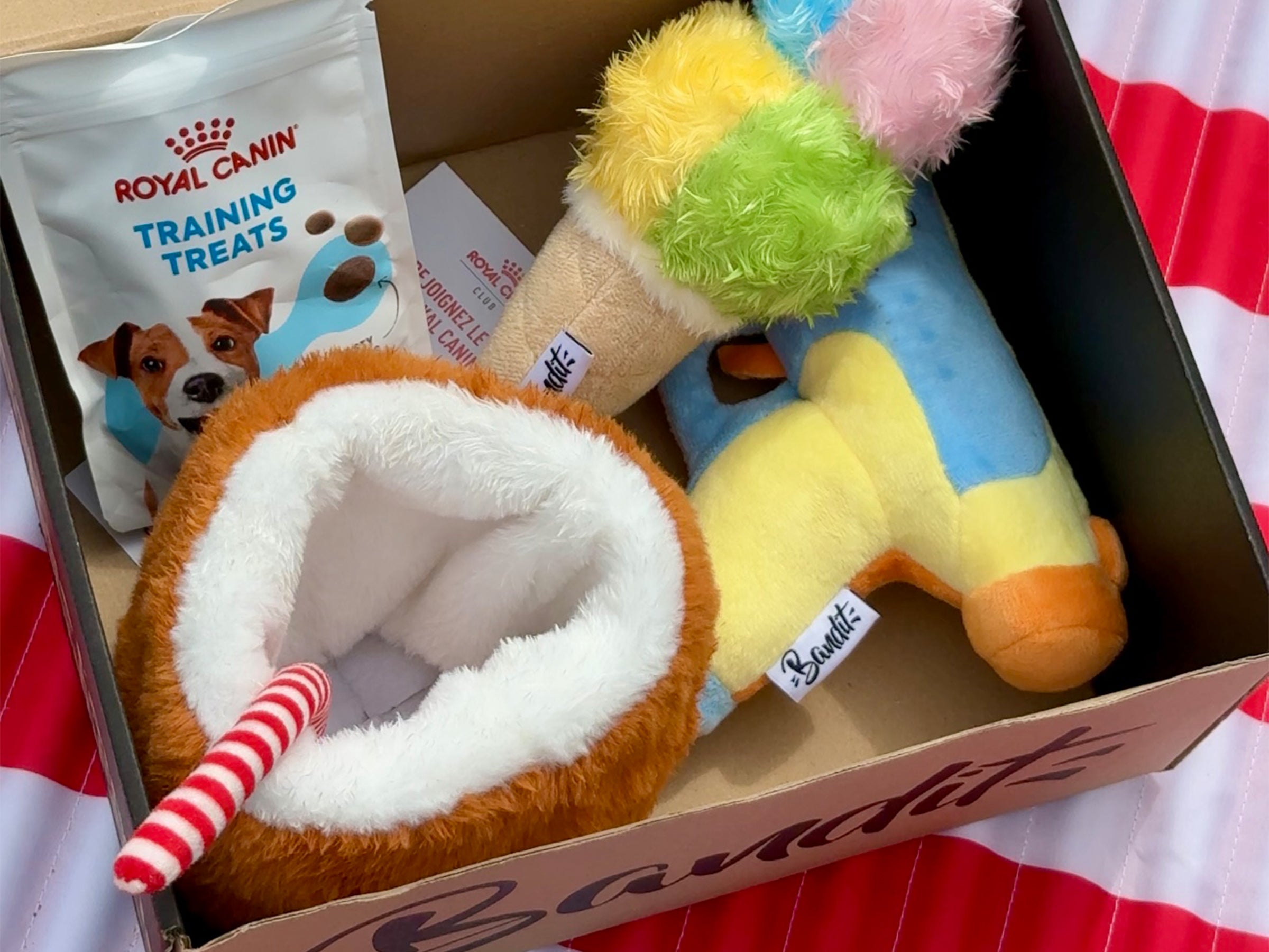 Jouet pistolet Ă  eau pour chien