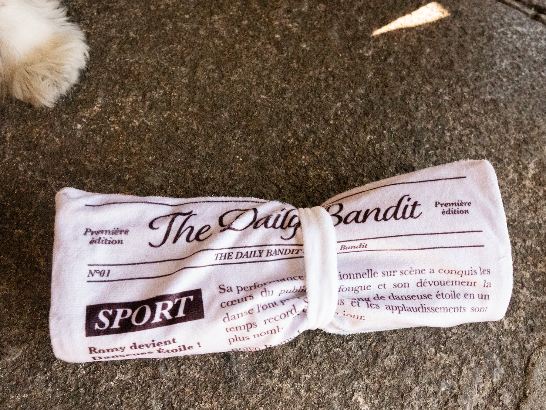 Jouet pour chien en forme journal