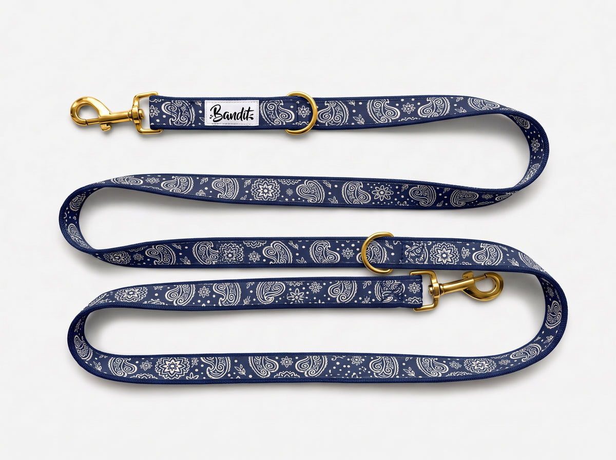 Laisse pour chien motif Minuit (paisley bleu marine) French Bandit, vue produit sur fond blanc
