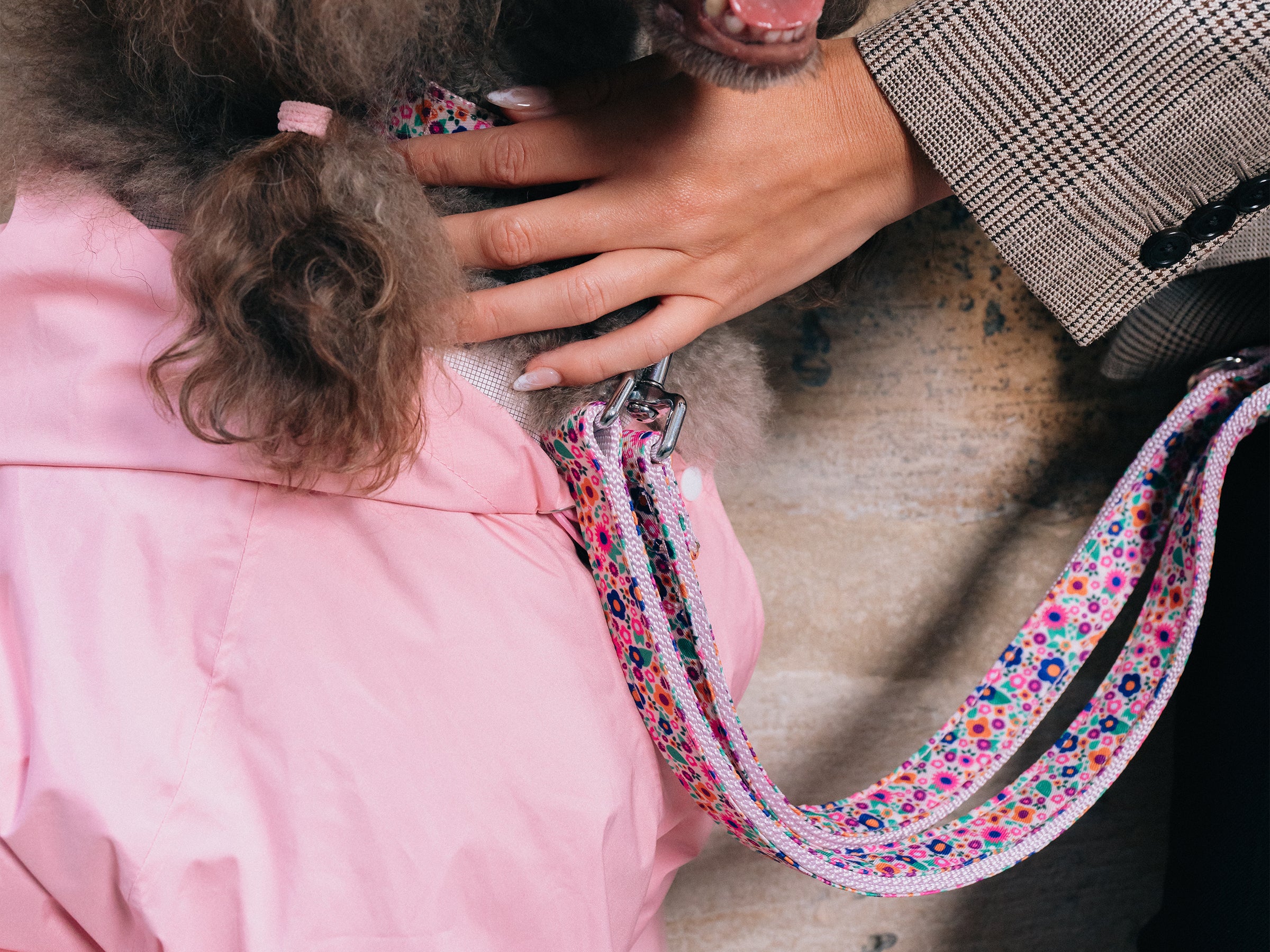 Laisse pour chien imprimé rose fleuri