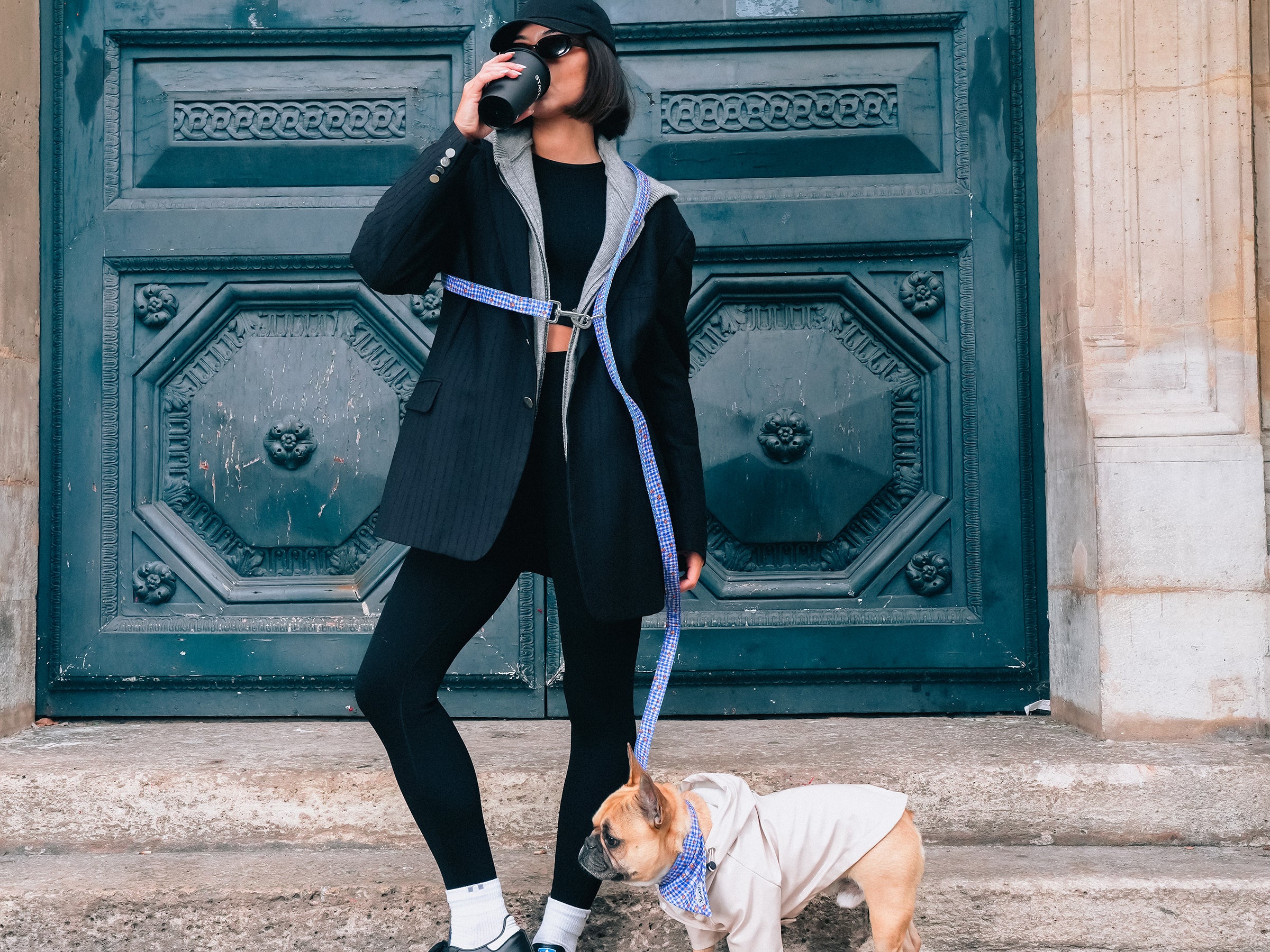 Laisse pour chien imprimé vichy bleu