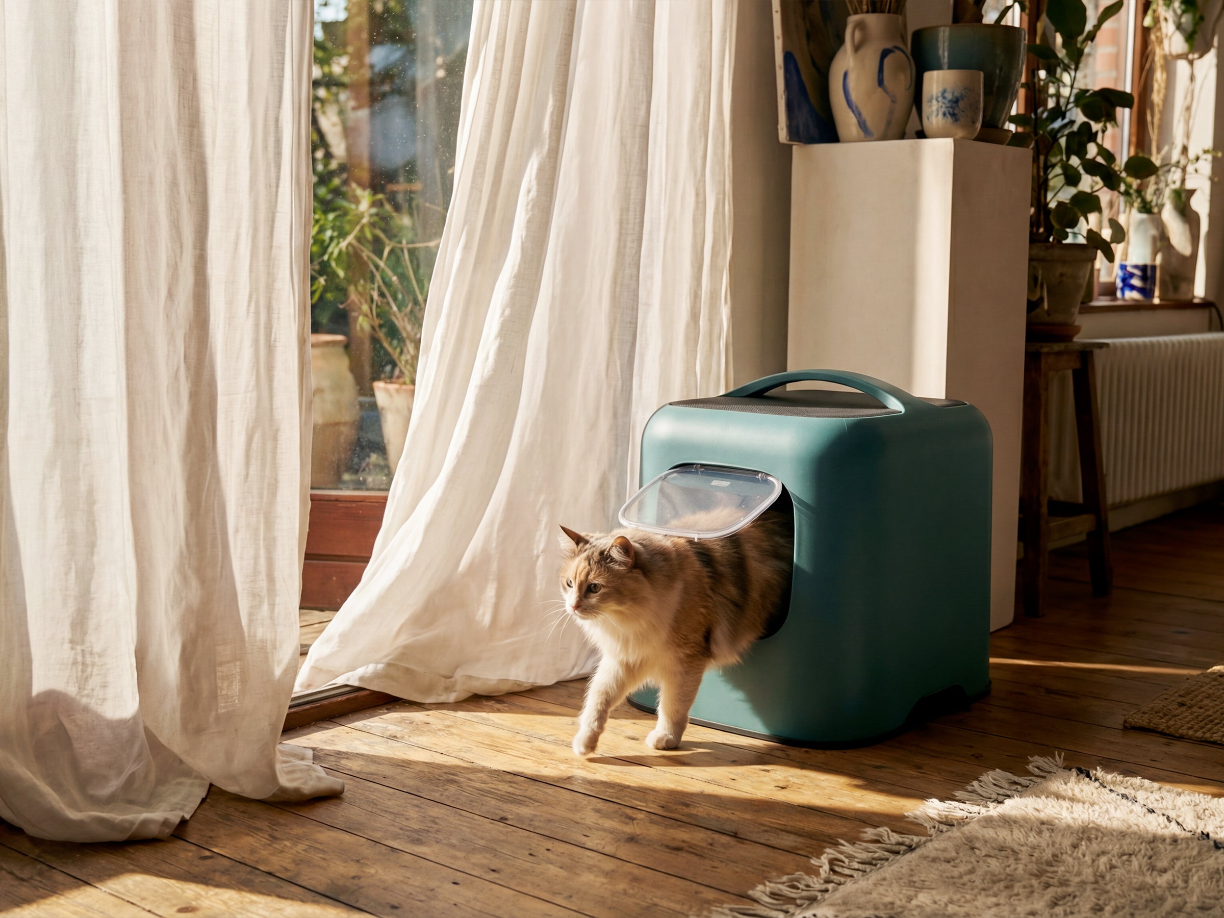 Pack Bac à litière Rotho + Litière DeBonPoil végétale 15L