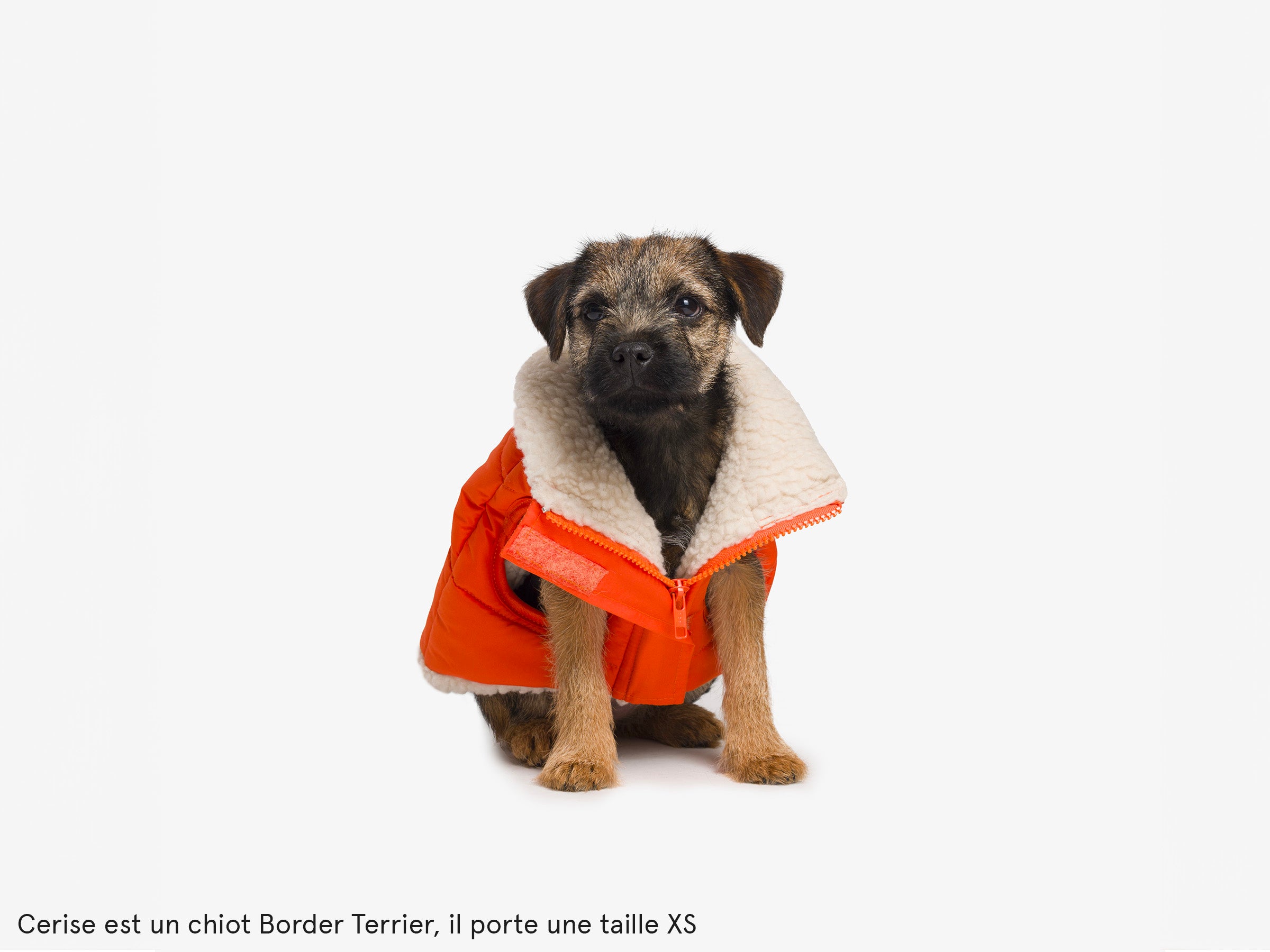 Thick down jacket for dogs