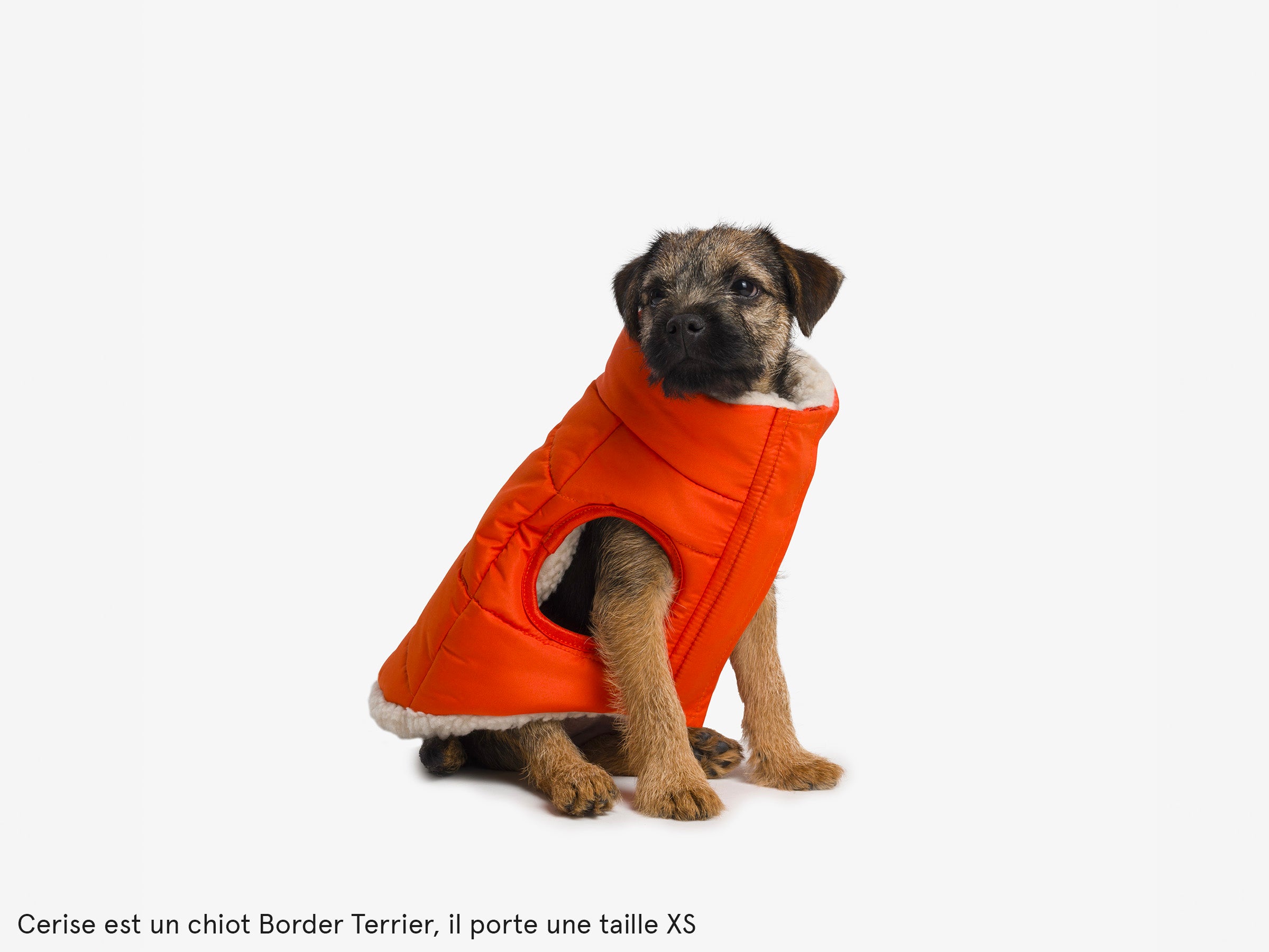 Thick down jacket for dogs