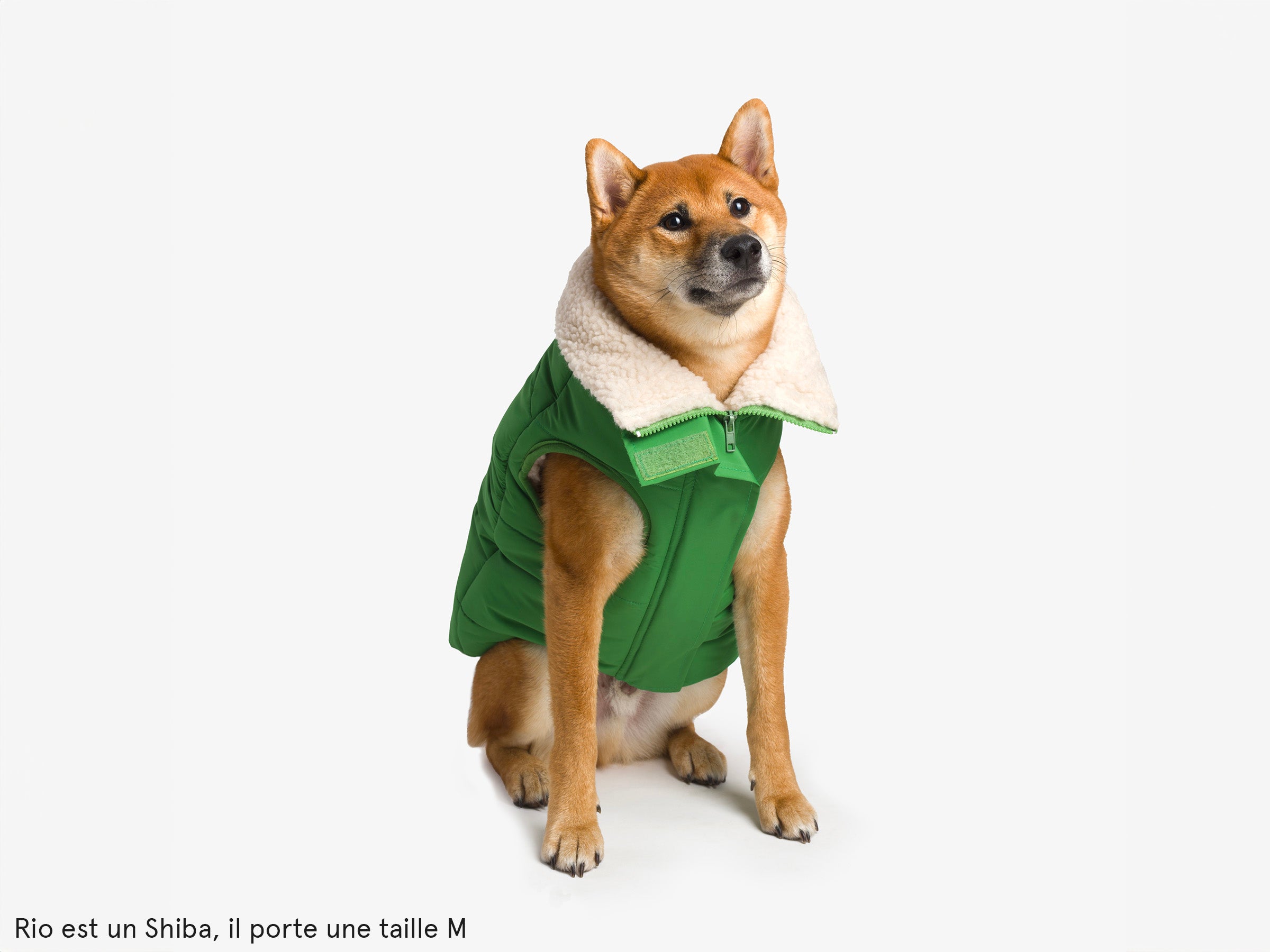 Thick down jacket for dogs