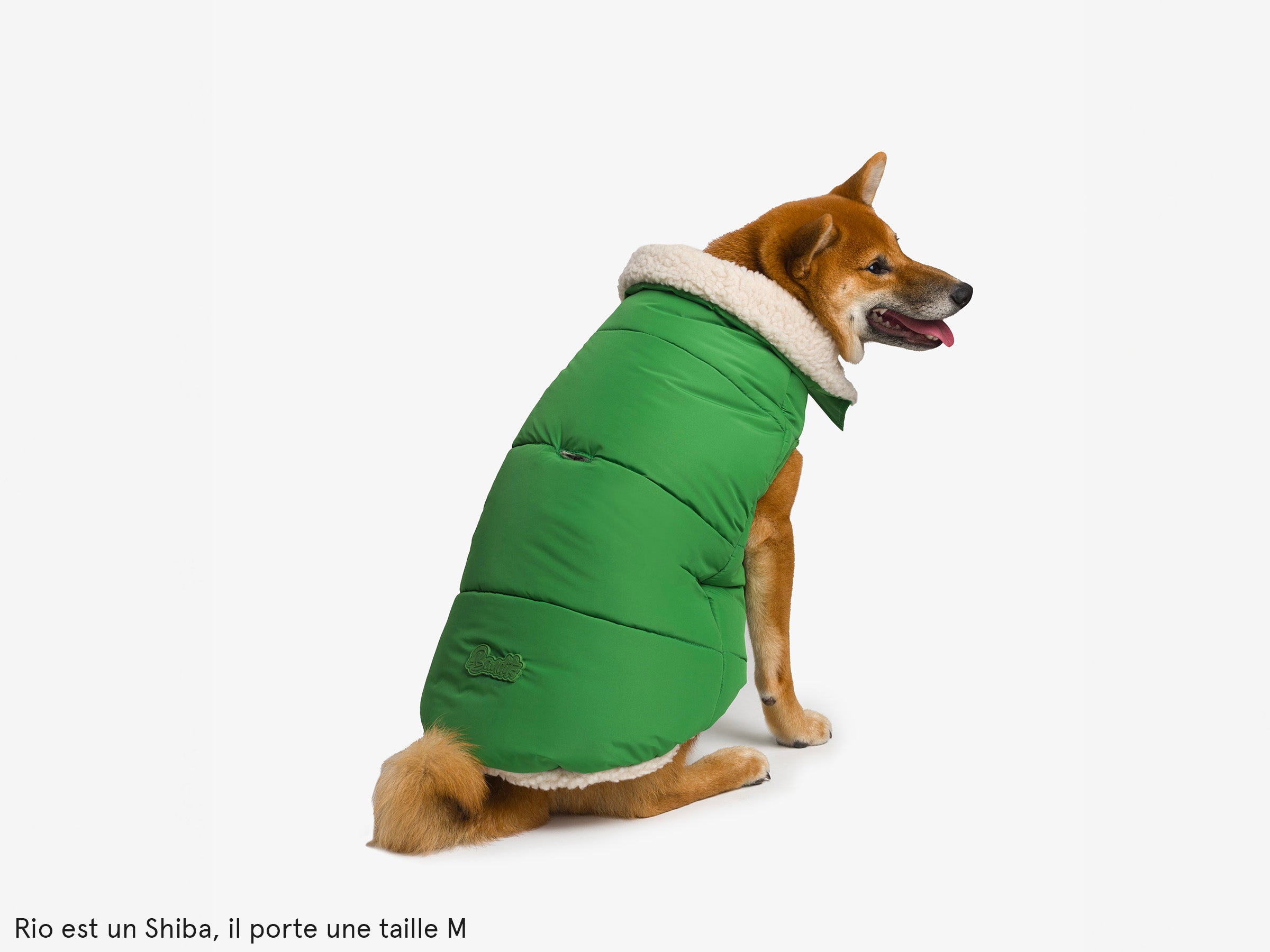 Thick down jacket for dogs