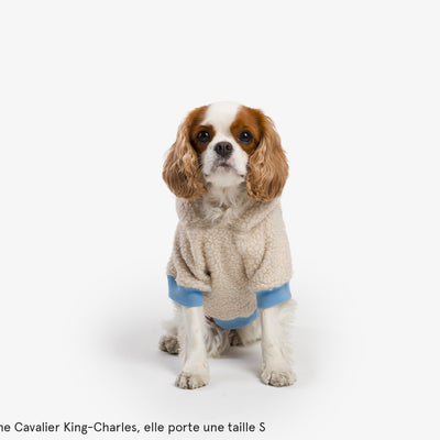 Hoodie en sherpa tout doux, pour chien