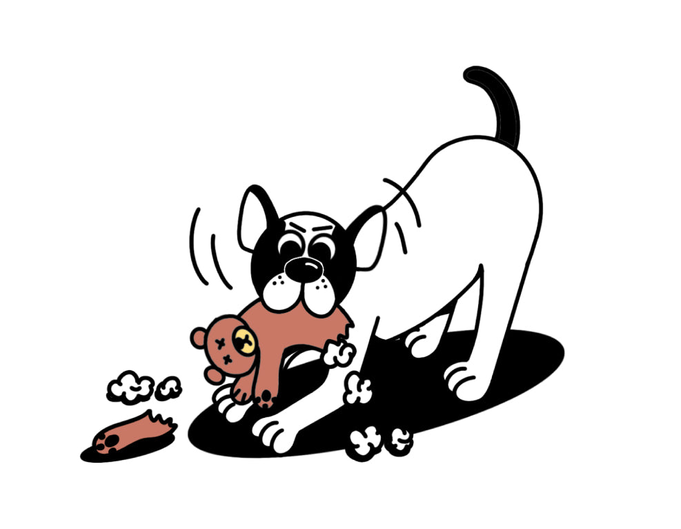 Dog toy