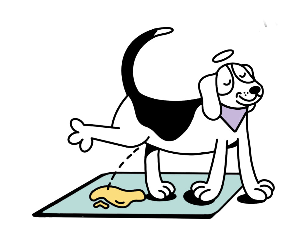 Tapis de propreté