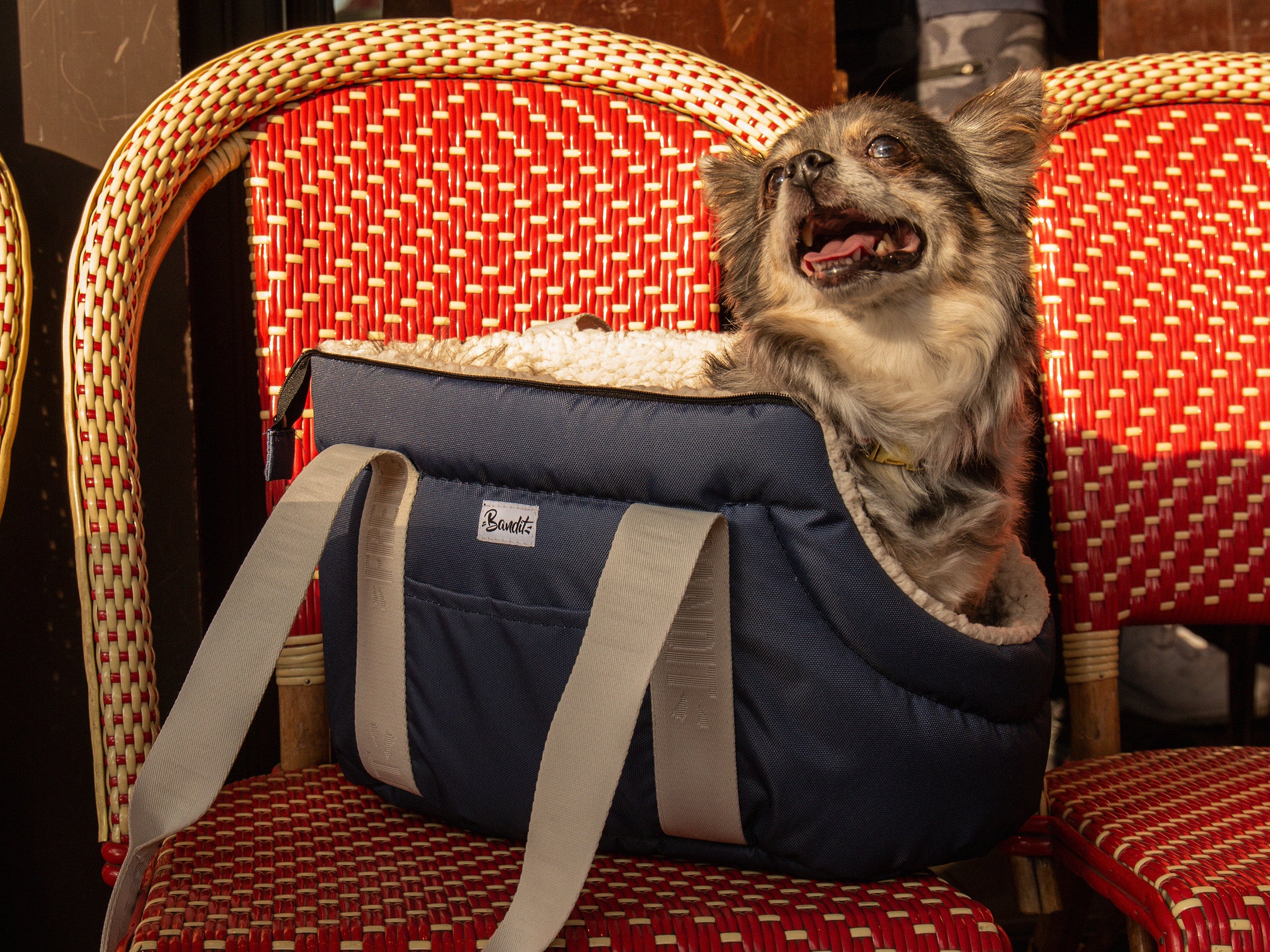 CARRYING BAG - Blue gray