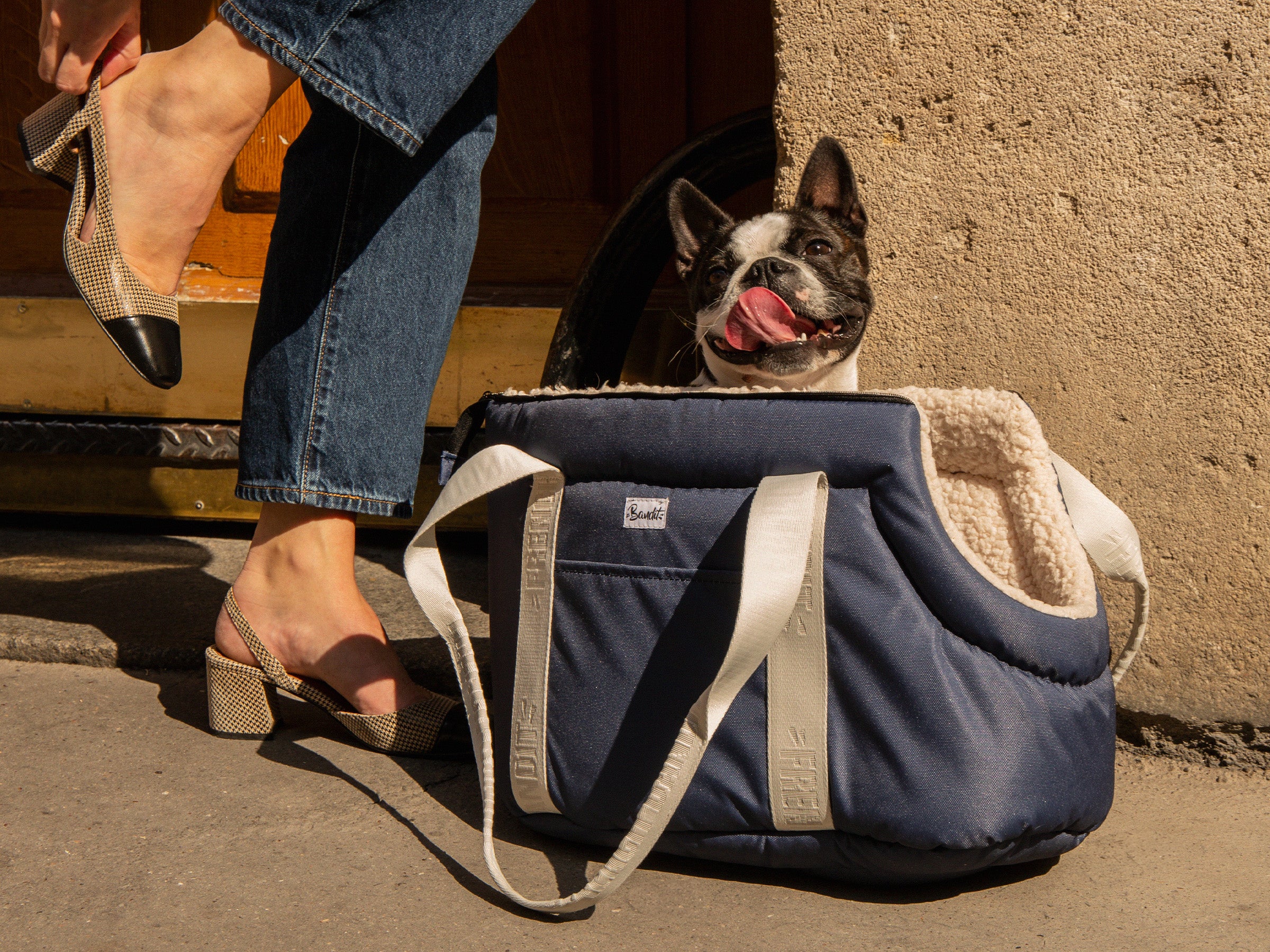 CARRYING BAG - Blue gray