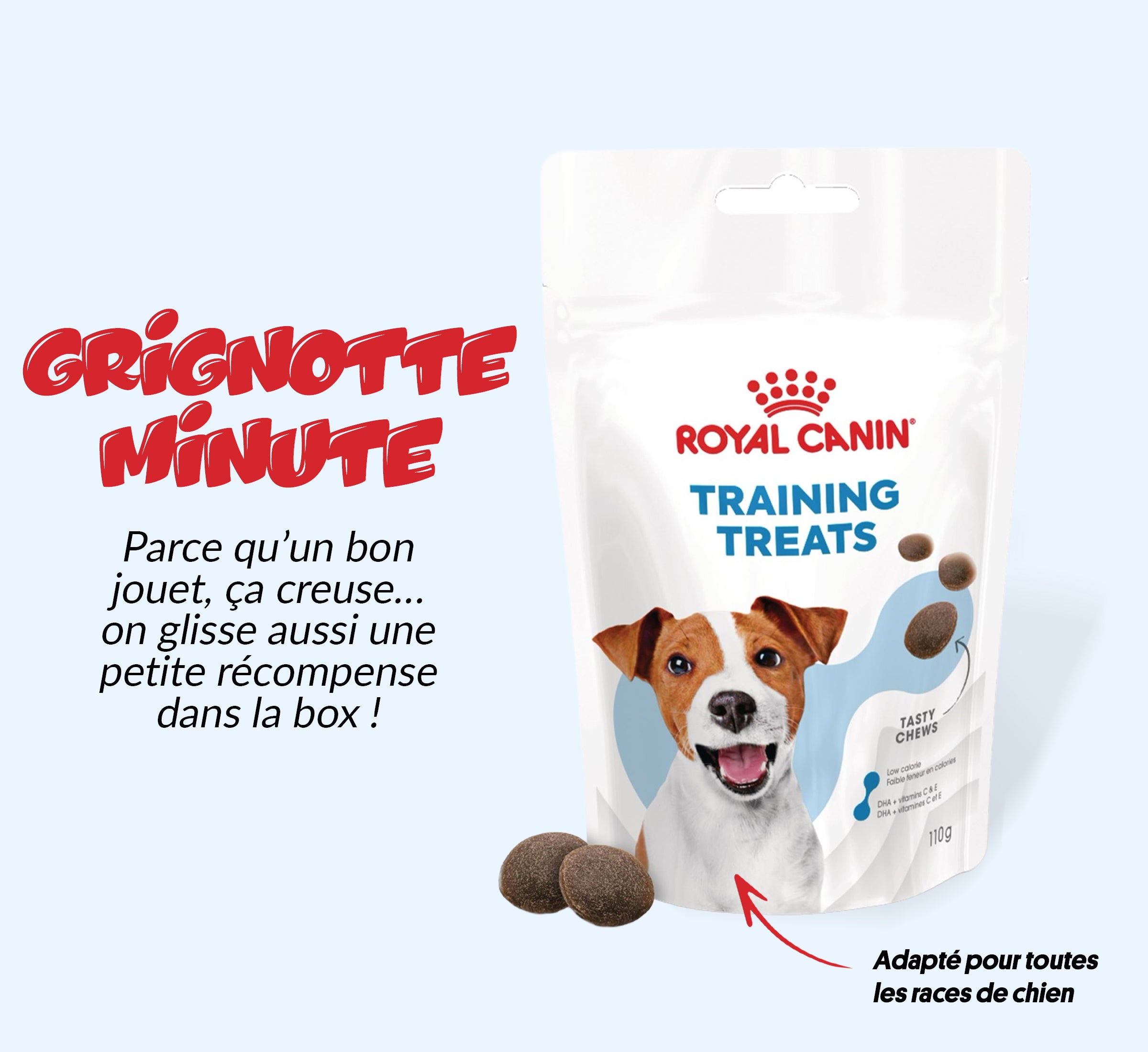 Box jouet pour chien – 2 jouets exclusifs + friandises