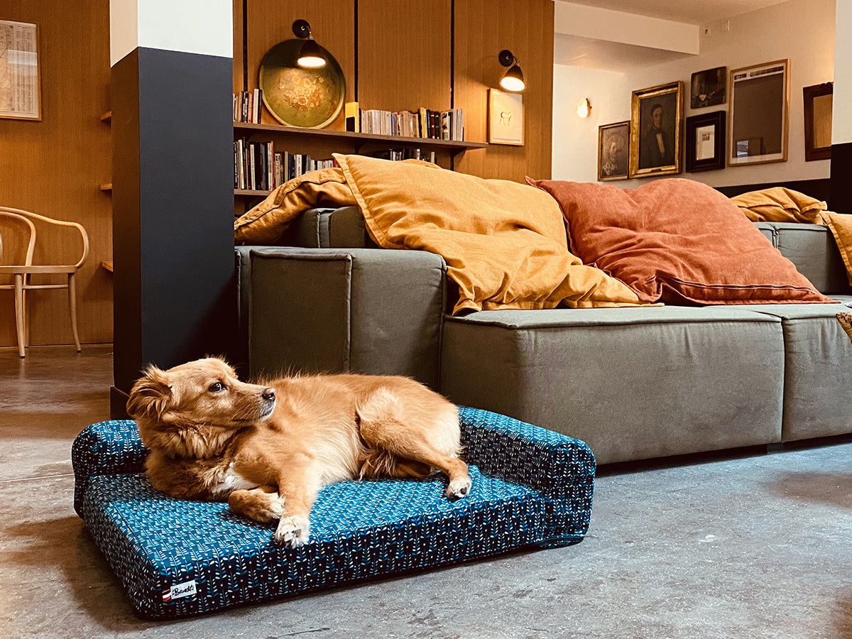 Le panier chien Night Blue