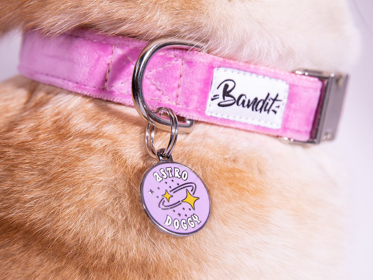 Médaille astrologie pour chien