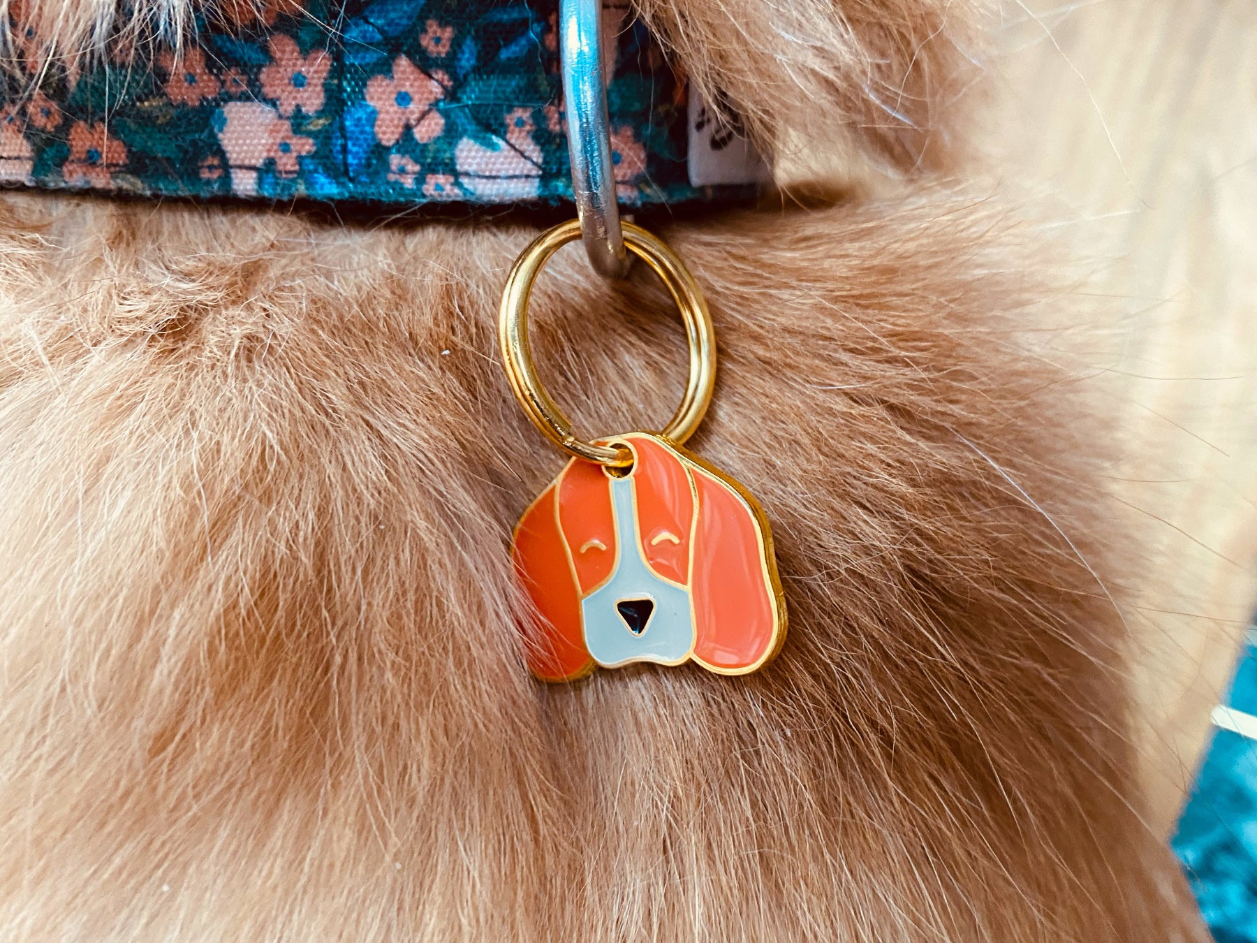 Médaille beagle pour chien 2