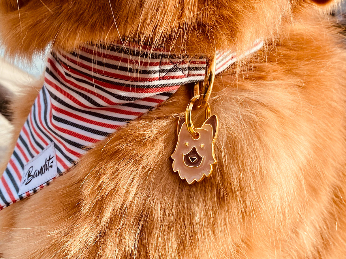 Médaille berger pour chien 2
