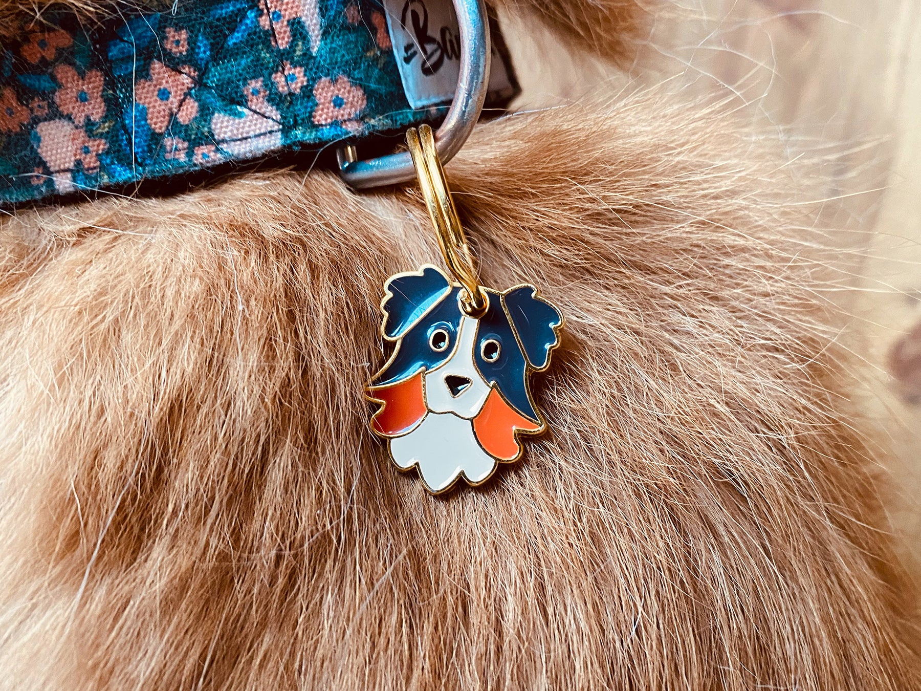 Médaille berger pour chien 2