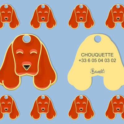 Médaille cocker pour chien 1