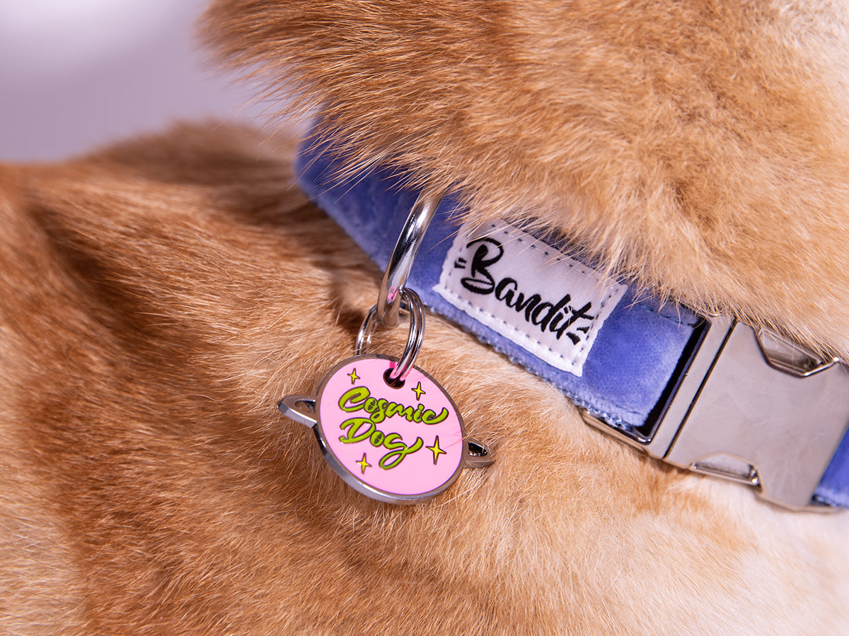 Médaille phosphorescente pour chien