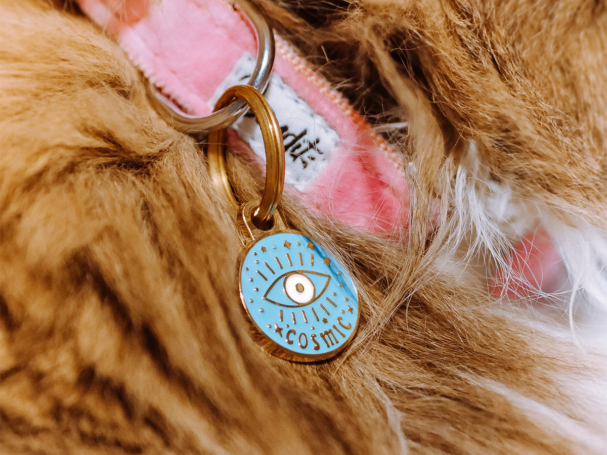 La médaille cosmique pour chat