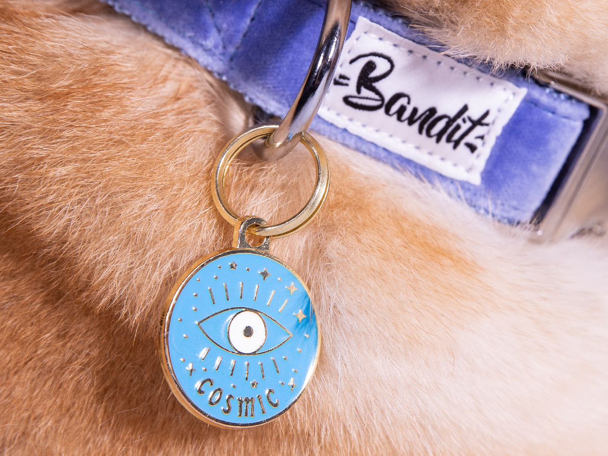 La médaille cosmique pour chat