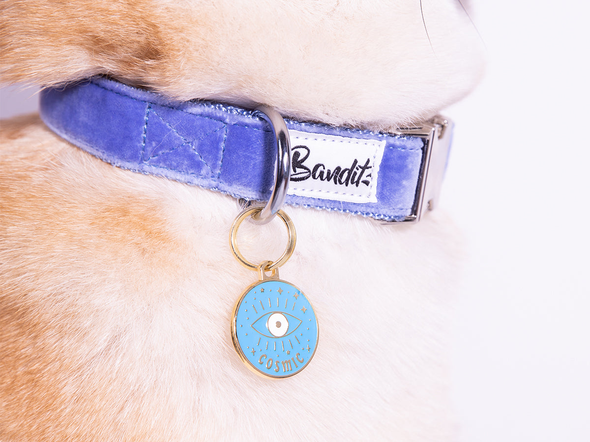 La médaille cosmique pour chien