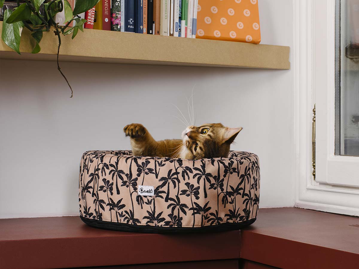 Le panier rond pour chat