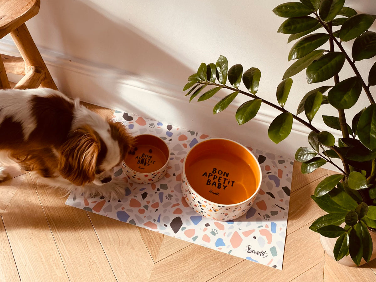 Gamelle pour chien & chat