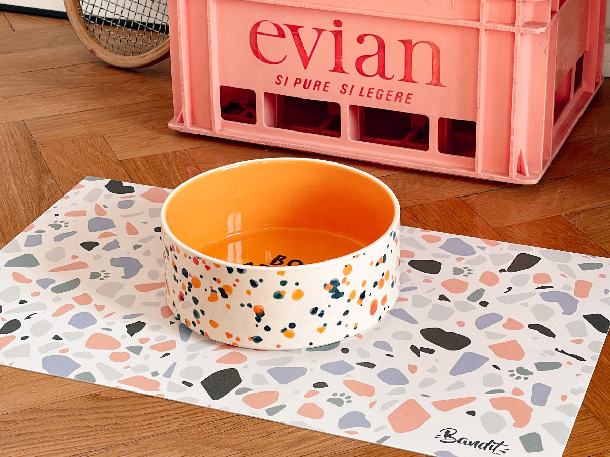 Gamelle pour chien & chat