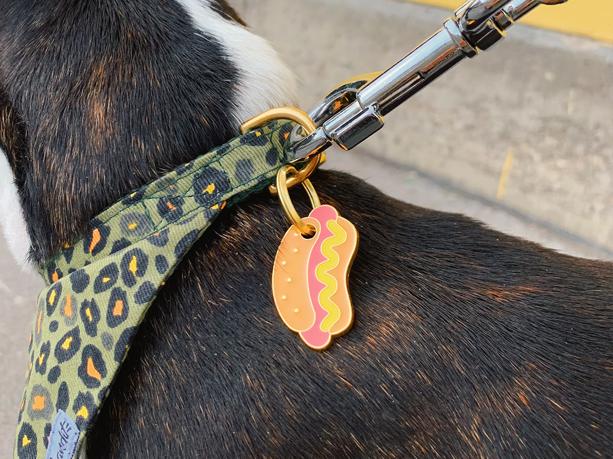Médaille hot dog pour chien 2