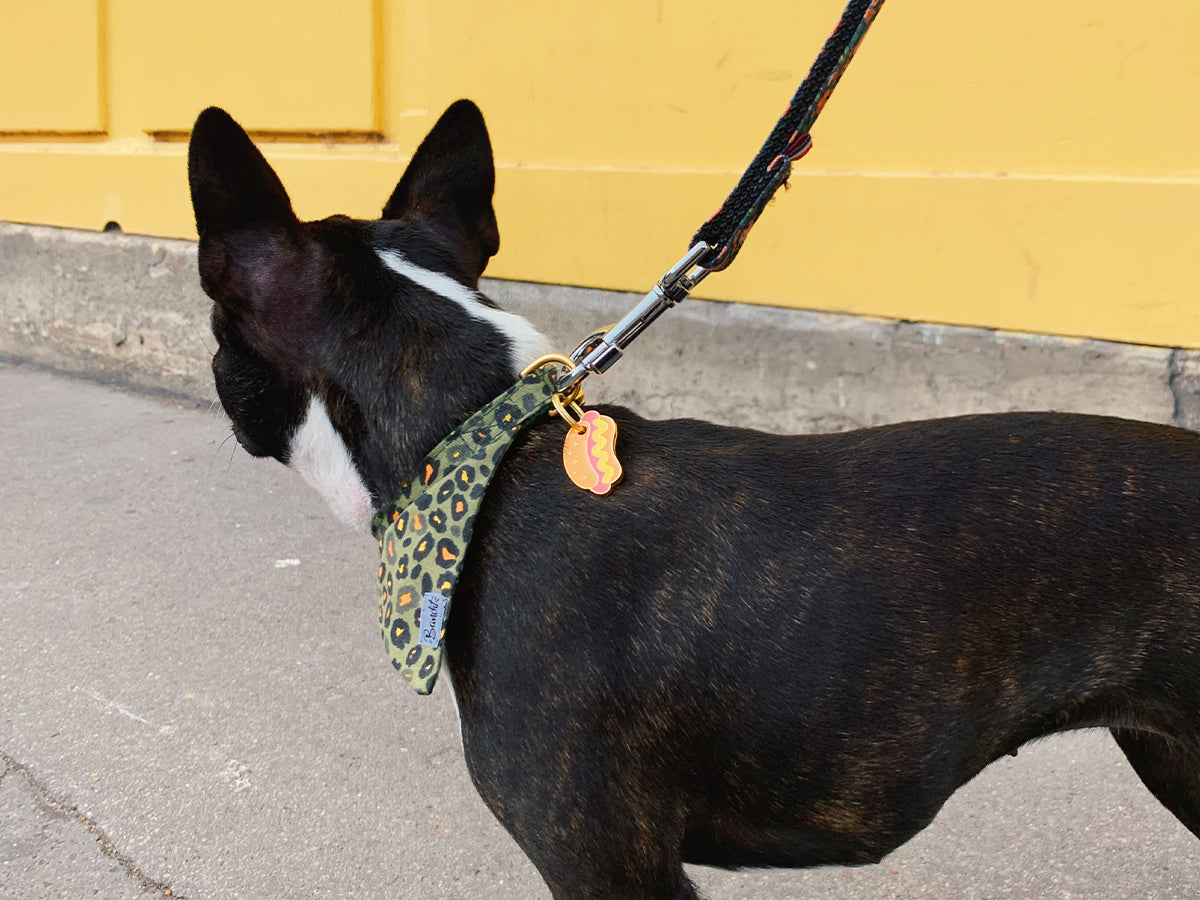 Médaille hot dog pour chien 3