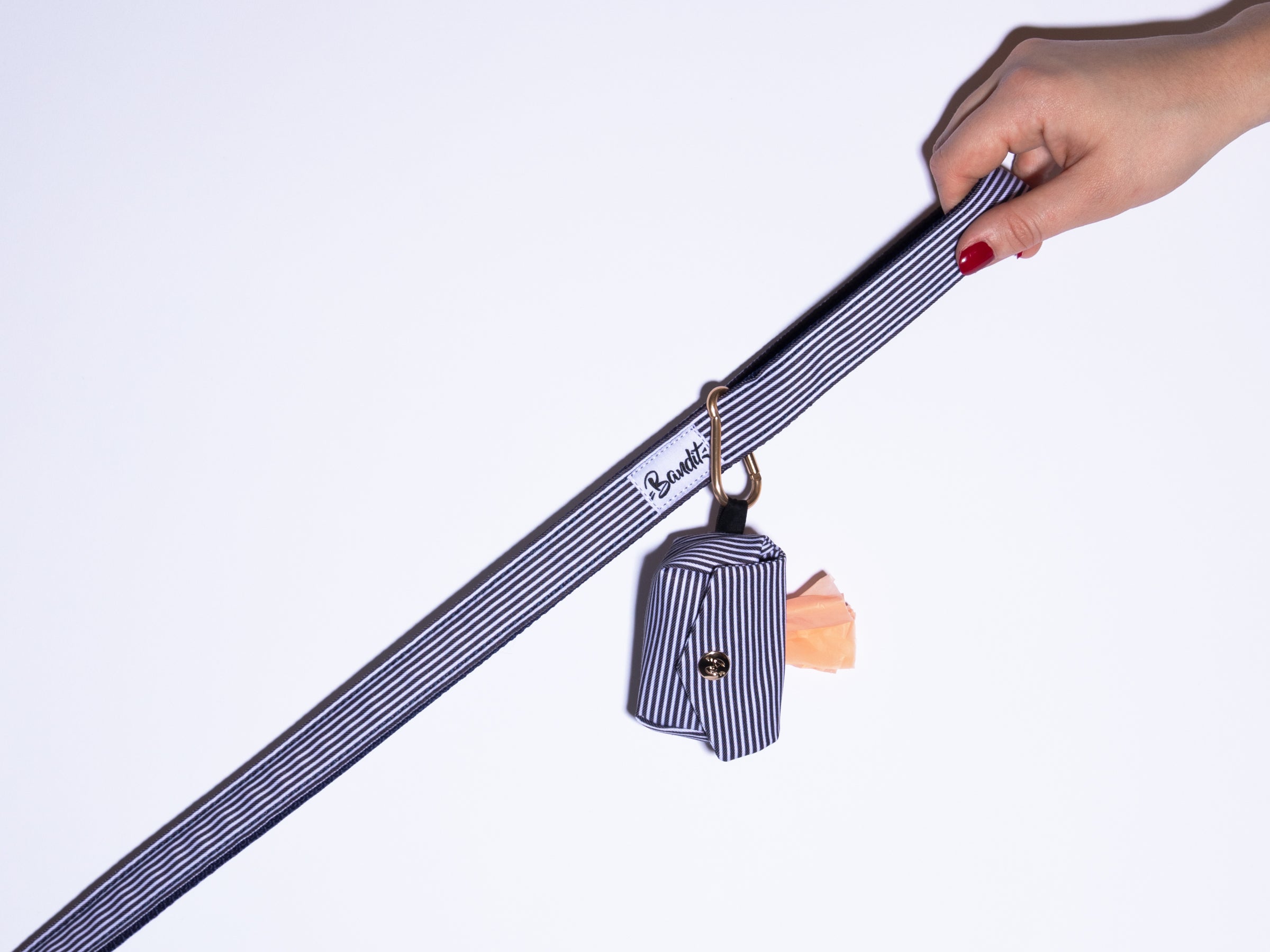 Pochette pour sacs à crotte rayures bleues