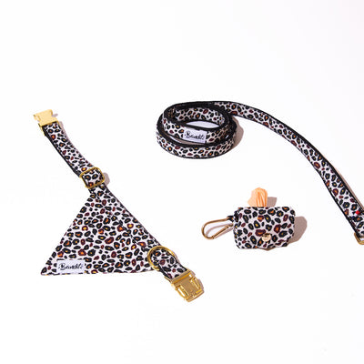 Kit Bandana + Laisse + Pochette sacs à crottes