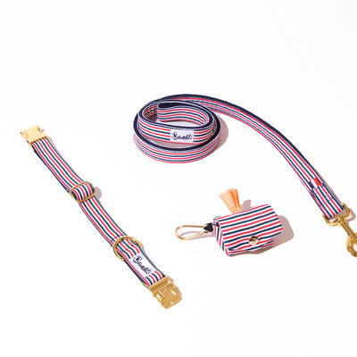 Kit Collier + Laisse + Pochette sacs à crottes