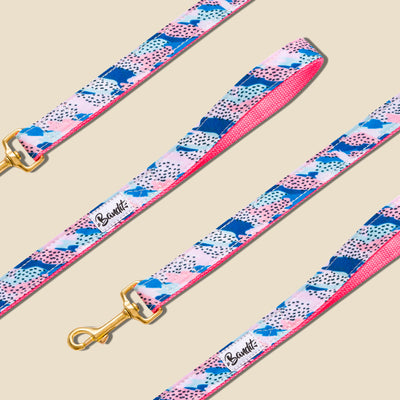 Laisse pour chien rose et bleu 1