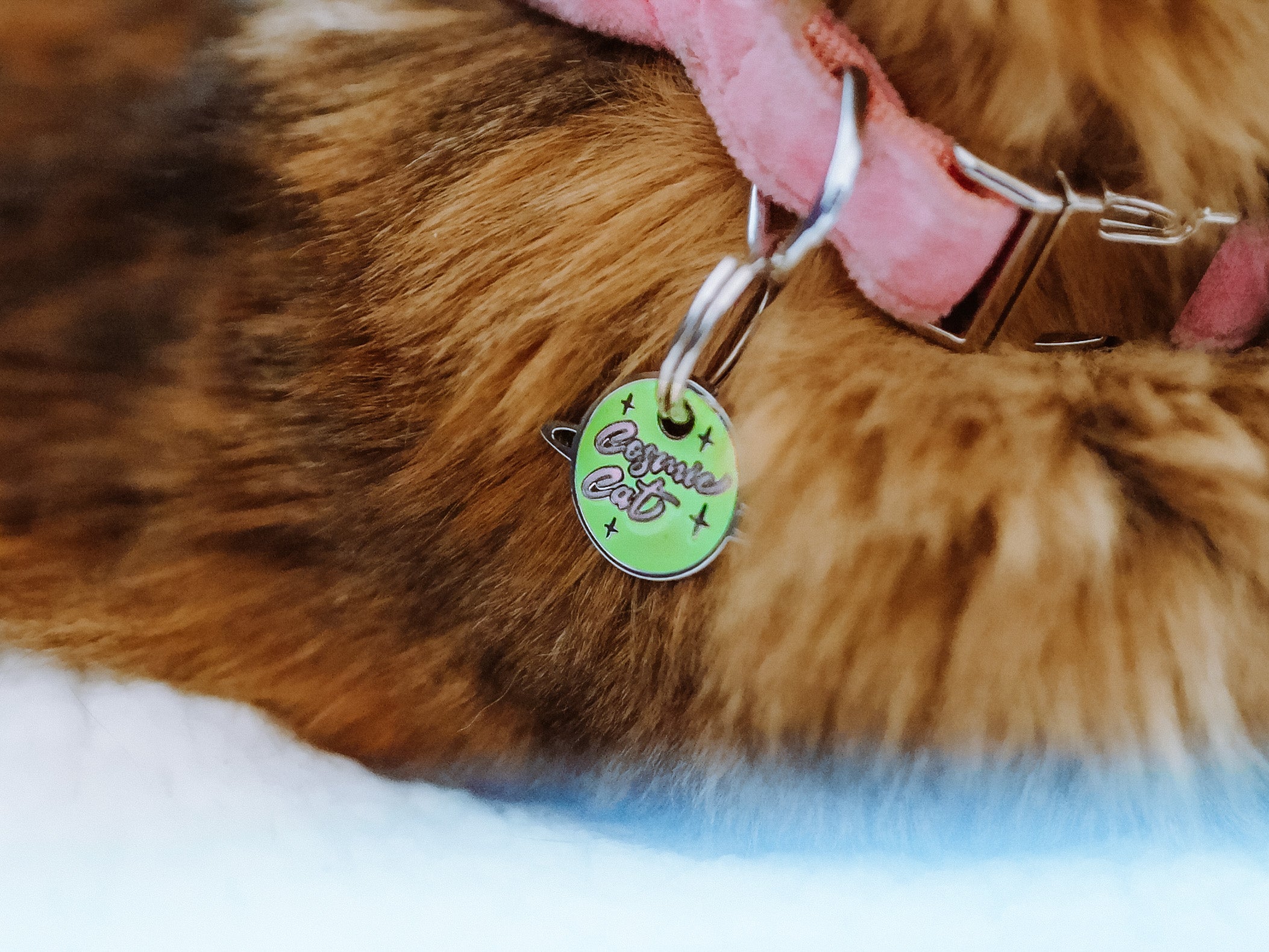 Médaille phosphorescente pour chat