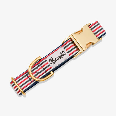 Collier chien bleu blanc rouge