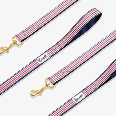 Laisse 4 positions chien bleu blanc rouge