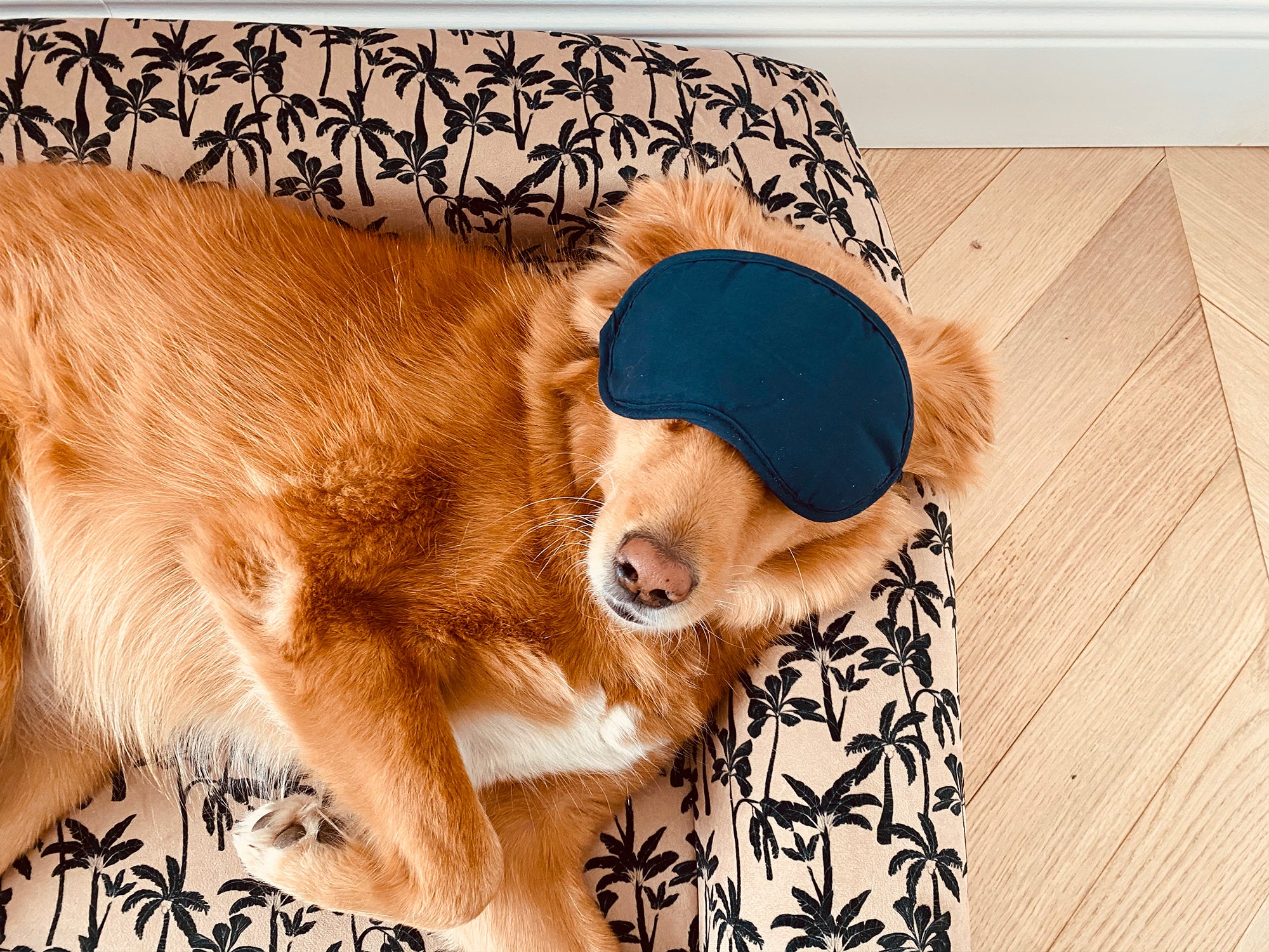 Panier chien motif Palm'Beach