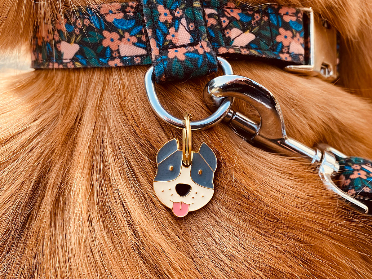 Médaille staffie pour chien 3