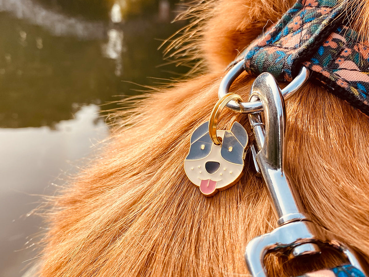 Médaille staffie pour chien 2