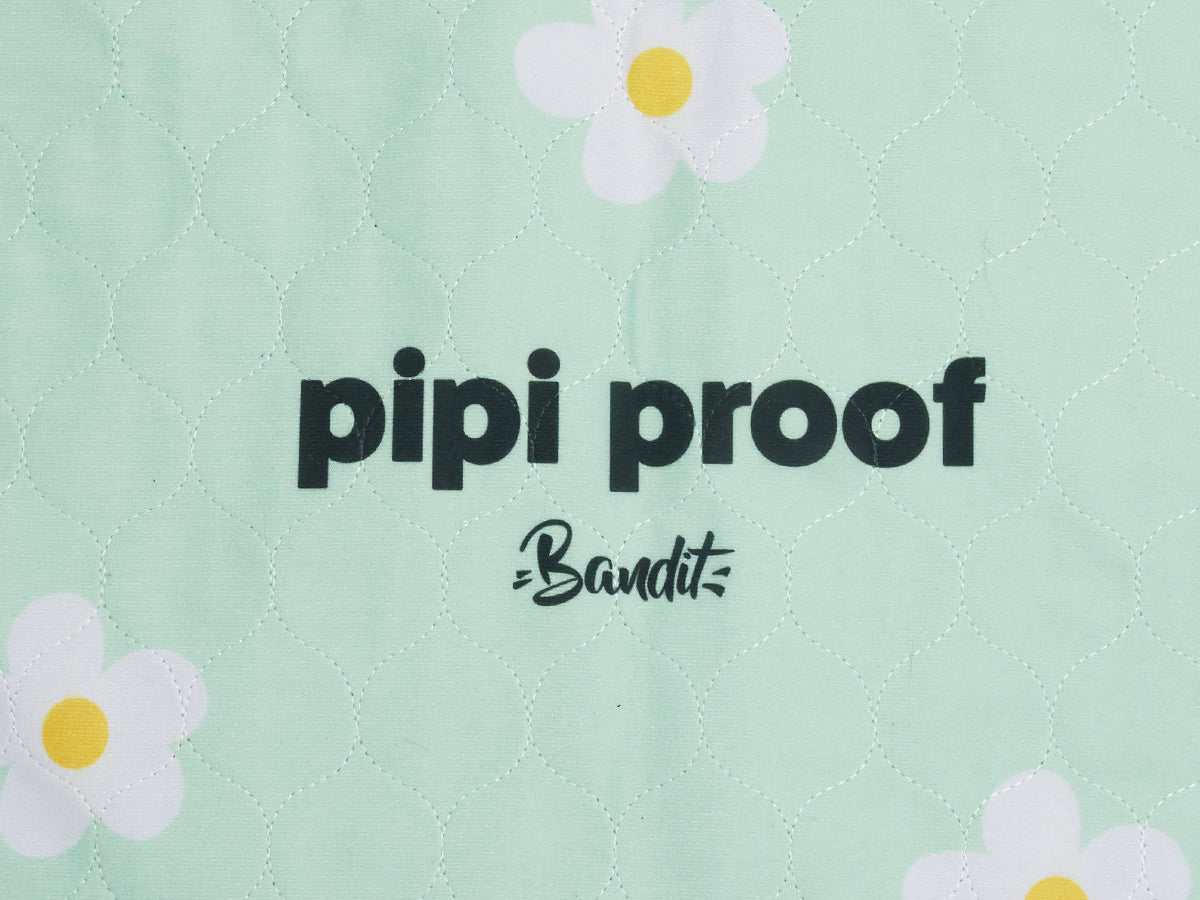 Lot de 2 tapis de propreté