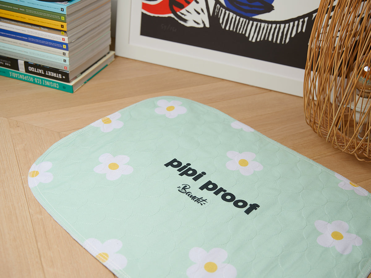 Lot de 2 tapis de propreté