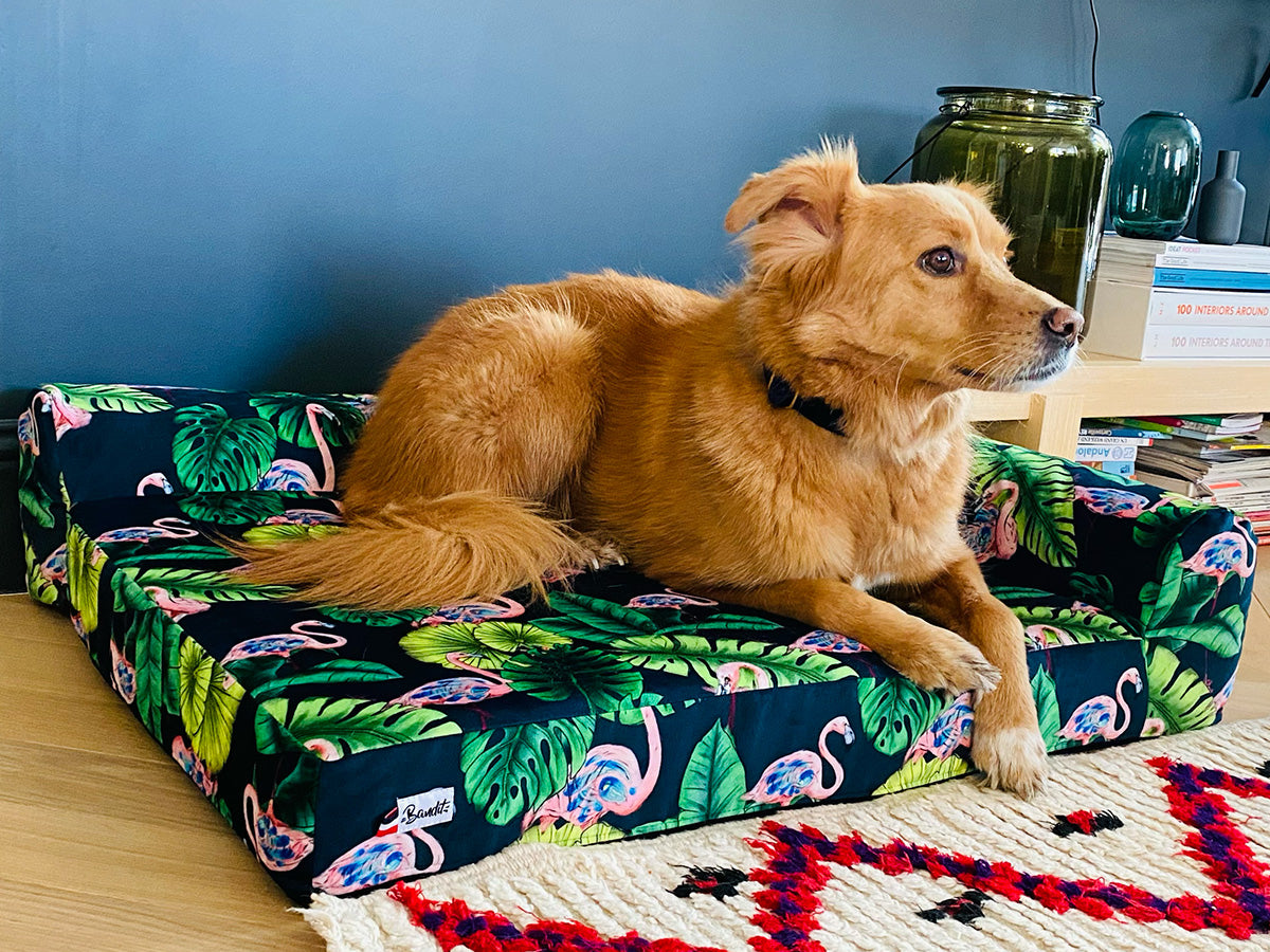 Le panier pour chien flamants roses