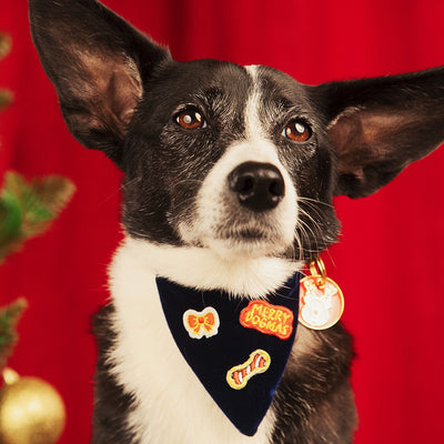 Merry Blue Bandana